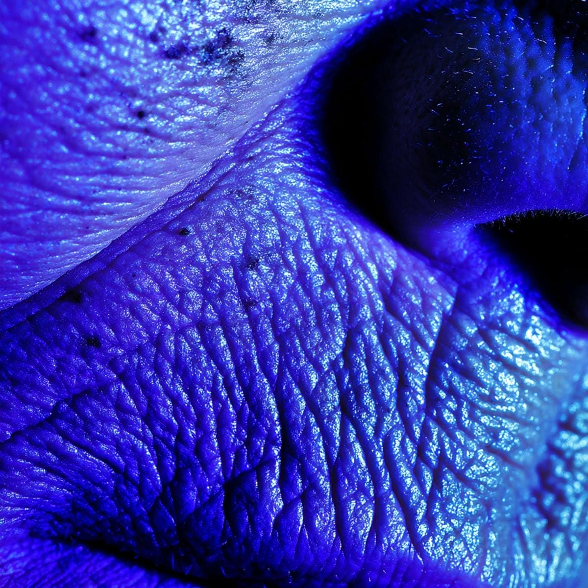 Close-up of textured, blue-hued surface